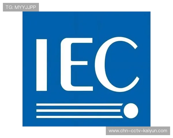 服务标准与国际规范接轨，提升跨境赛事组织效率